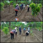 IMG-20260205-WA0017