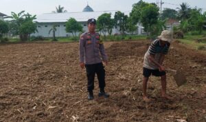 IMG-20260611-WA0017